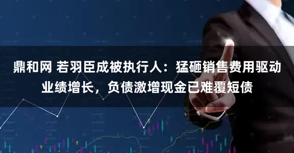 鼎和网 若羽臣成被执行人：猛砸销售费用驱动业绩增长，负债激增现金已难覆短债
